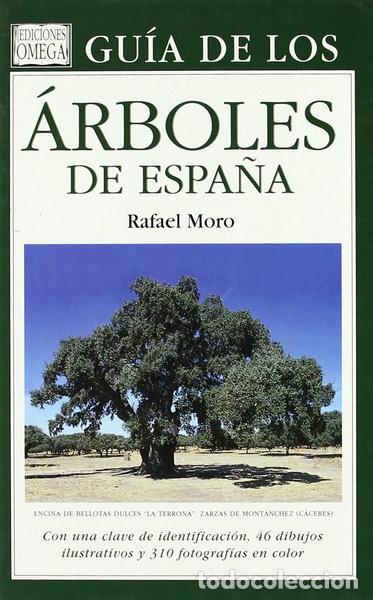 Livres: Gu&iacute;a de los &aacute;rboles de Espa&ntilde;a- 9788428210430