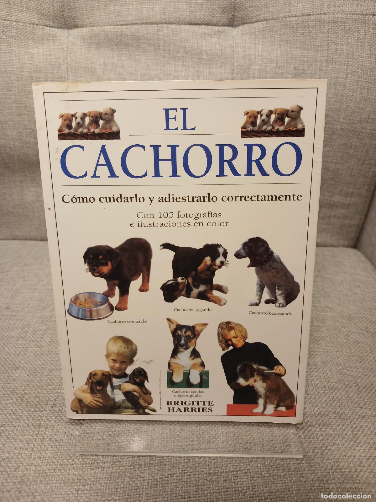 books: El cachorro c&oacute;mo cuidarlo y adiestrarlo correctamente - Brigitte Harries