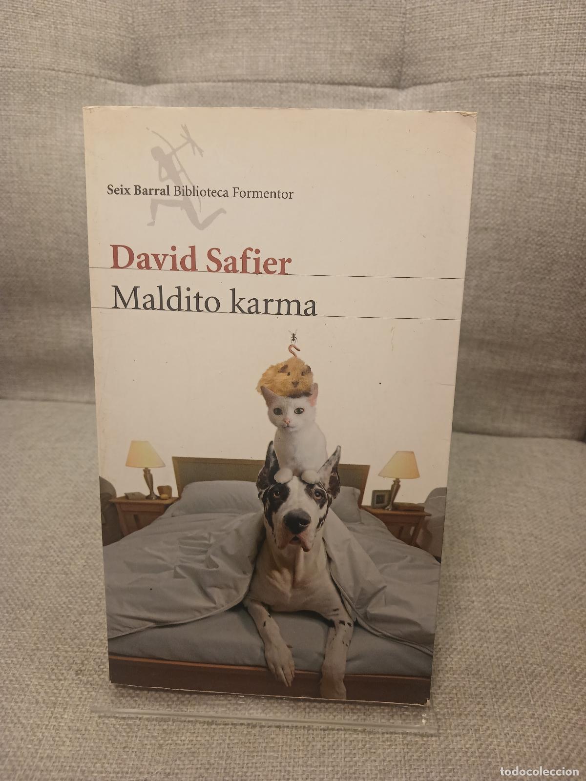 Livros em segunda m&atilde;o: Maldito karma - David Safier