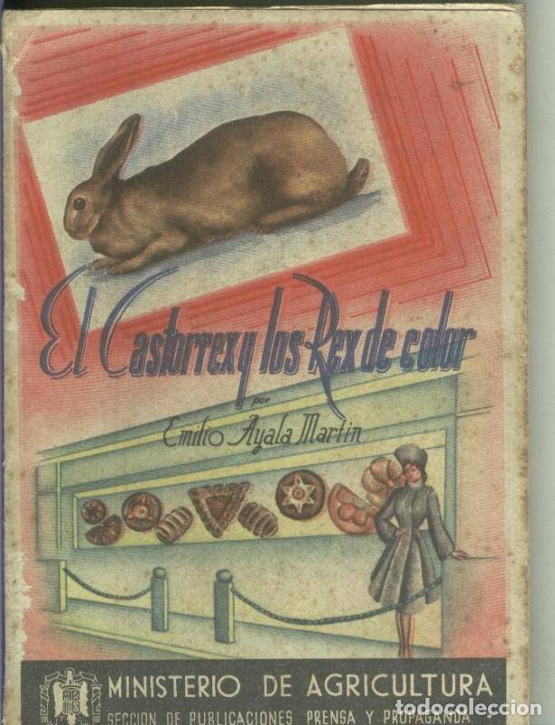 Libros: El Castorrex y Los Rex de Color - Emilio Ayala Martin - Foto 1