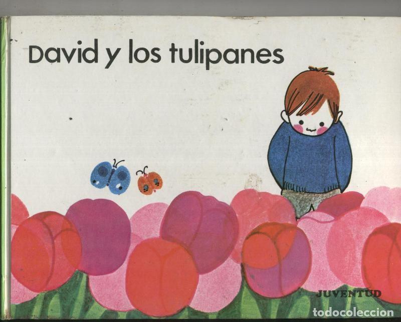 Libros: David y los tulipanes - Amelia Benet - Foto 1