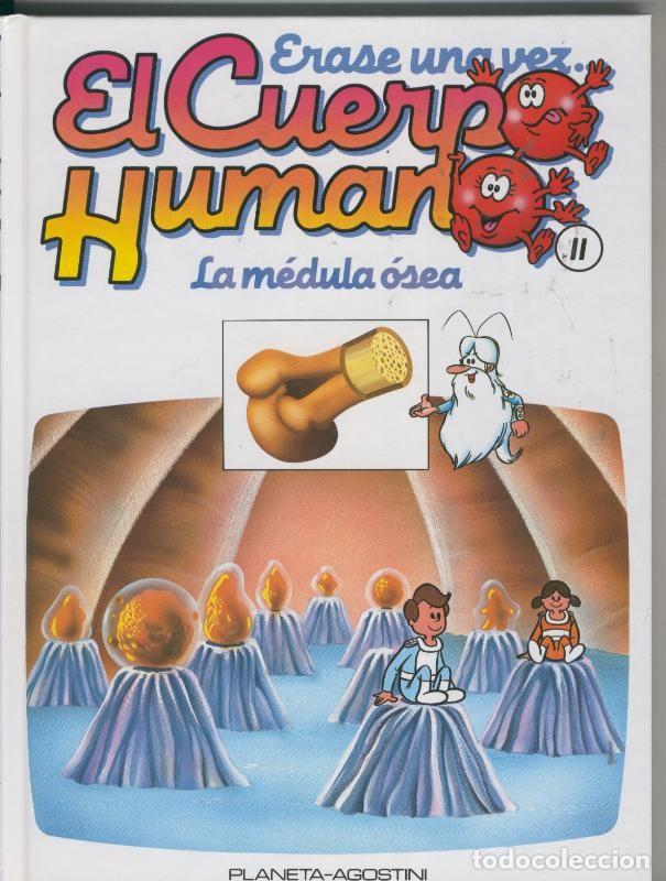 Livros em segunda m&atilde;o: Erase una vez el cuerpo humano numero 11: La medula osea - Varios