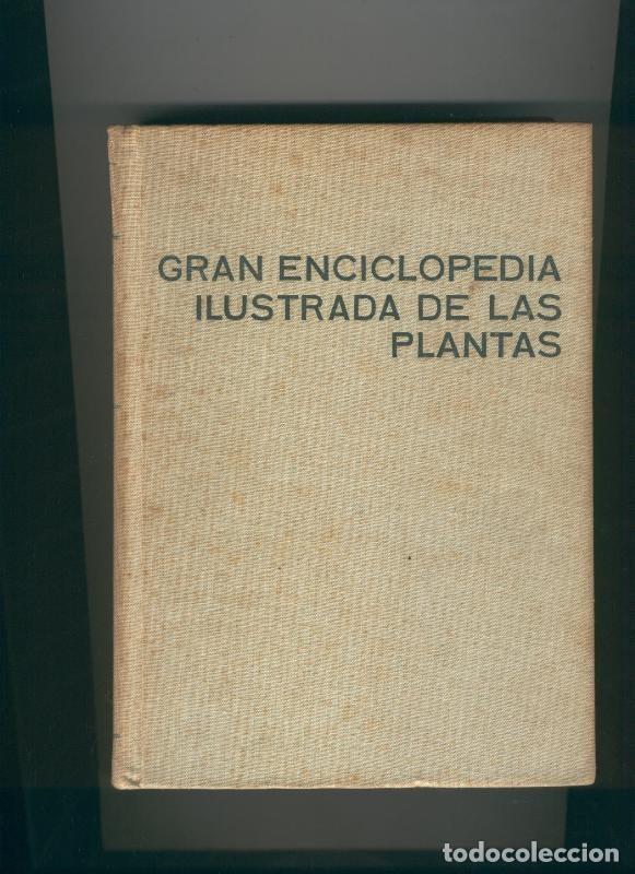 Libri di seconda mano: Gran enciclopedia ilustrada de las plantas - F.A.Novak