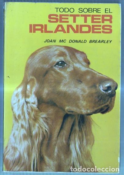 Libri di seconda mano: Todo sobre el Setter Irlandes - Joan Mc Donald Brearley