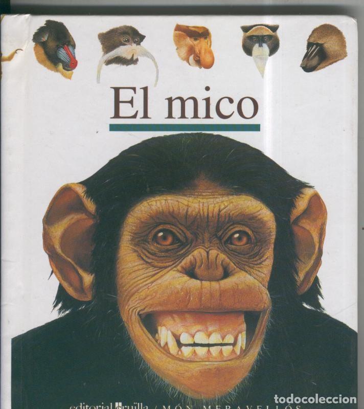 Libros: Mon Meeravellos numero 39: El Mico - Varios - Foto 1