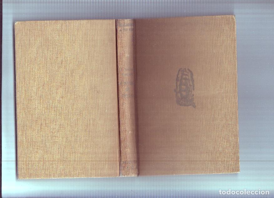 Libri di seconda mano: Biblioteca a Tot Vent numero 38: El rellogat del tercer pis - J. Navarro Costabella