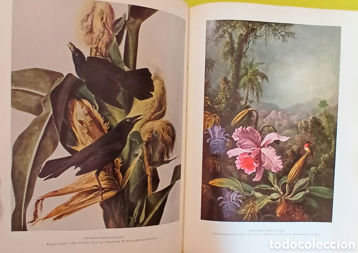 Libros: La pintura norteamericana, John Walker. - Foto 9