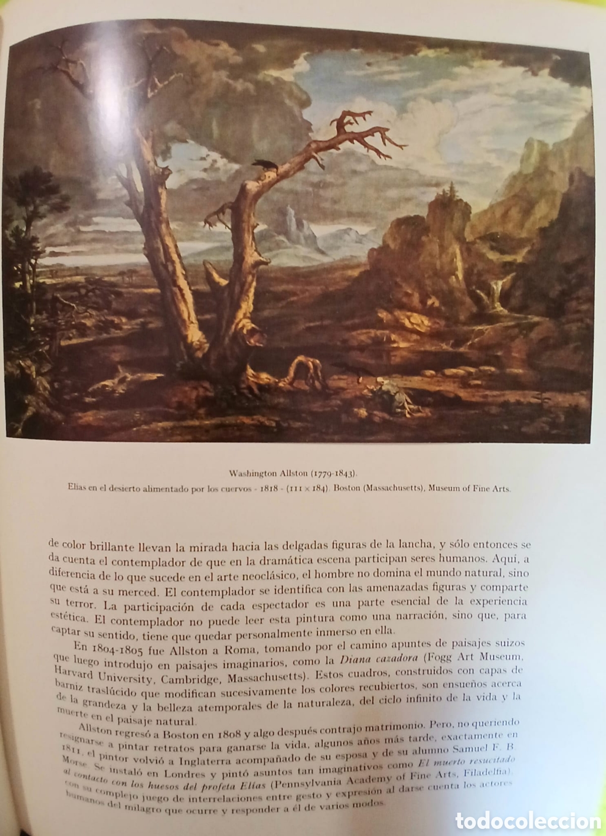 Libros: La pintura norteamericana, John Walker. - Foto 10