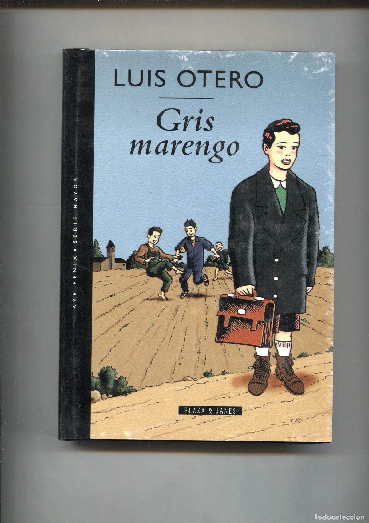 Libros: Gris marengo - Luis Otero - Foto 1