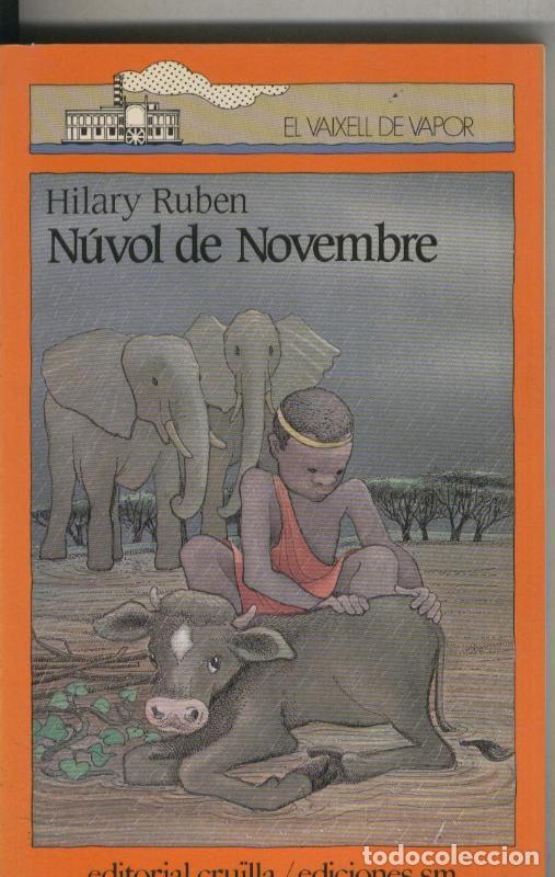 Libri di seconda mano: Nuvol de novembre - Hilary Ruben