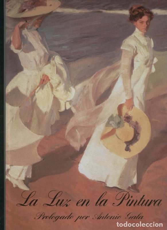 Libros: La Luz en la Pintura - Varios - Foto 1