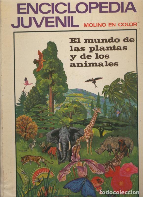 Libros: Enciclopedia Juvenil Molino en color volumen 2: el mundo de las plantas y de los animales - Varios