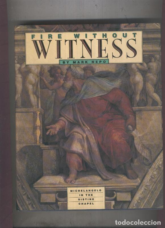 books: Fire Without Witness: Michelangelo in the sistine chapel - Mark Nepo