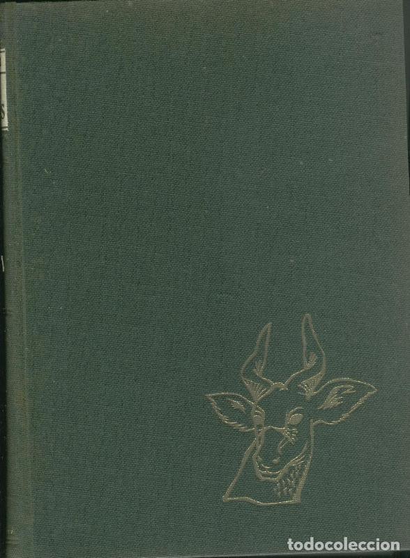 Libri di seconda mano: Los animales Volumen I: Mamiferos - G. Scortecci