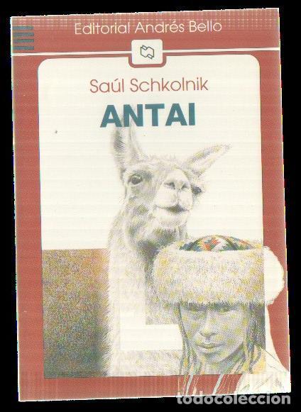 Libros: Antai - Saul Schkolnik - Foto 1
