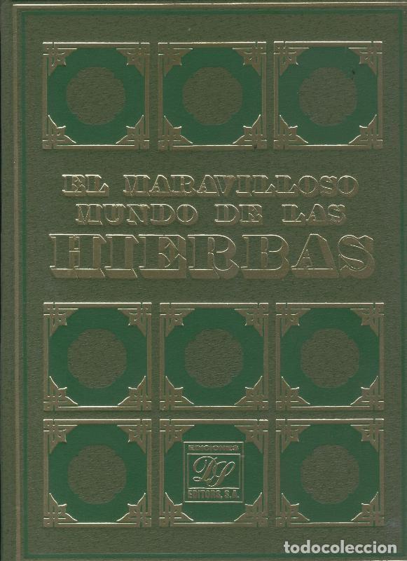 Livros em segunda m&atilde;o: El maravilloso mundo de las hierbas tomo II - Varios