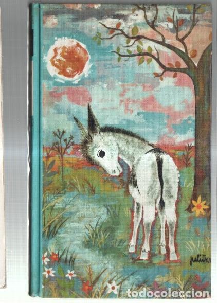 Libros: Platero y Yo - Juan Ramon Jimenez - Foto 1