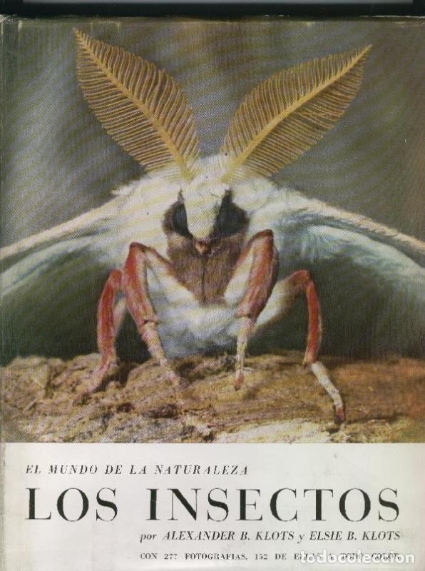 Libri di seconda mano: El mundo de la naturaleza: Los insectos - Alexander B. Klots y Elsie B. Klots