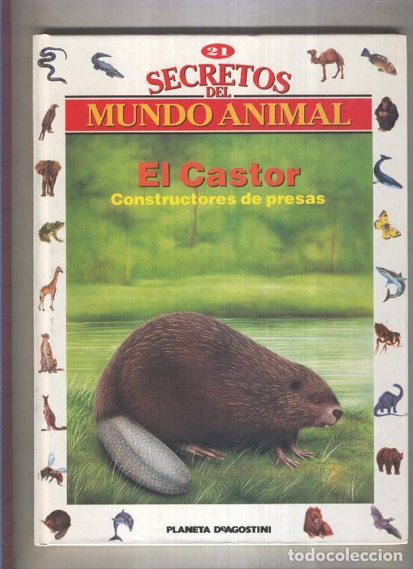 Libri di seconda mano: Secretos del mundo animal numero 21: El castor, constructores de presas - Varios