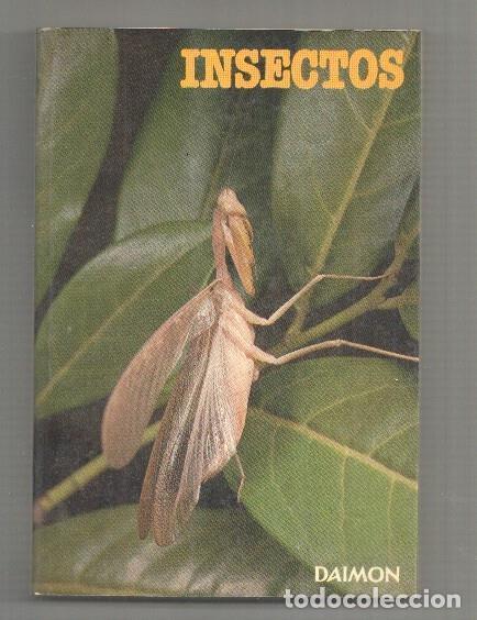 Libri di seconda mano: Insectos y aracnidos - Dr. Maurice Burton