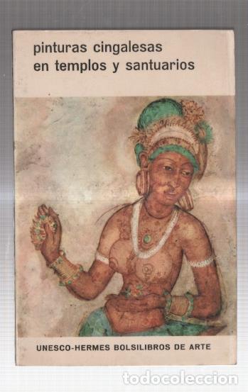Libros: Pinturas cingalesas en templos y santuarios - Varios - Foto 1