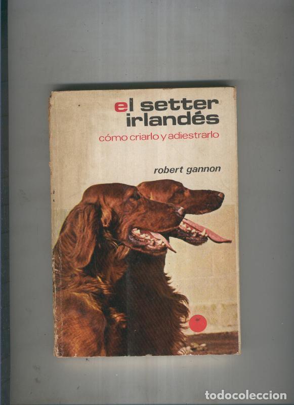 Libros: El setter irlandes - Robert Gannon - Foto 1