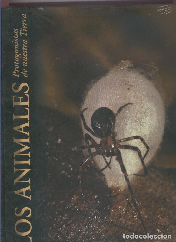 Libri di seconda mano: Los animales protagonistas de nuestra tierra - Varios