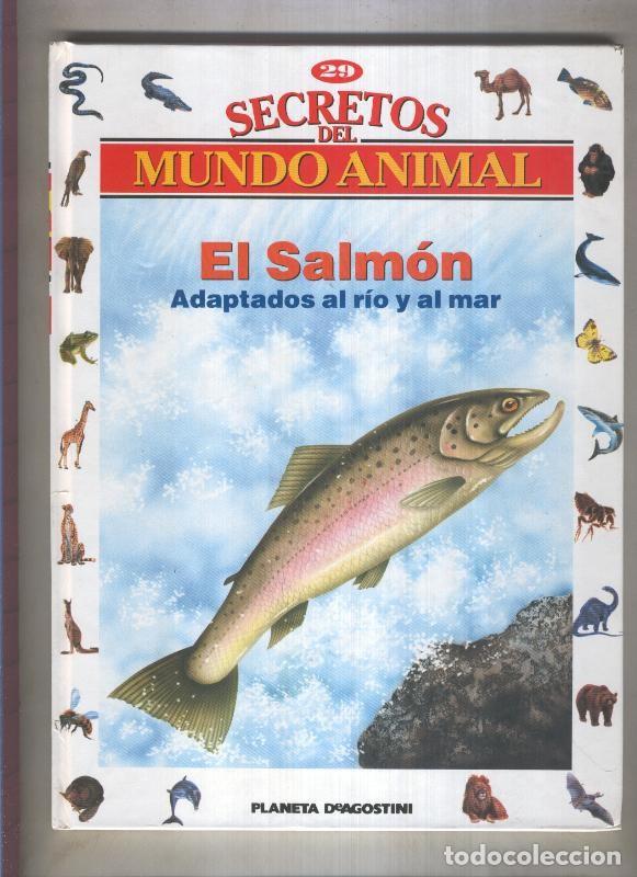 B&uuml;cher: Secretos del mundo animal numero 29: El salmon, adaptados al rio y al mar - Varios