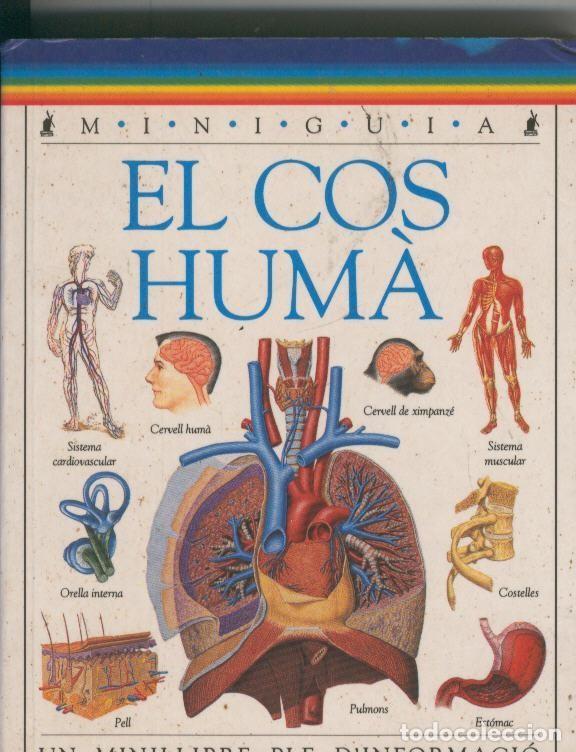 Libros: El cos huma - Sarah Brewer - Foto 1