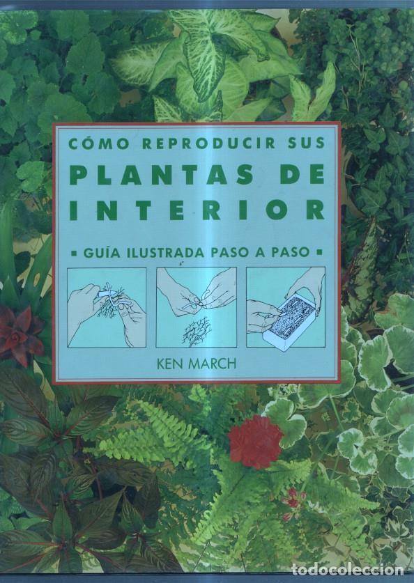 Libros: Como reproducir sus plantas de interior - Ken March - Foto 1