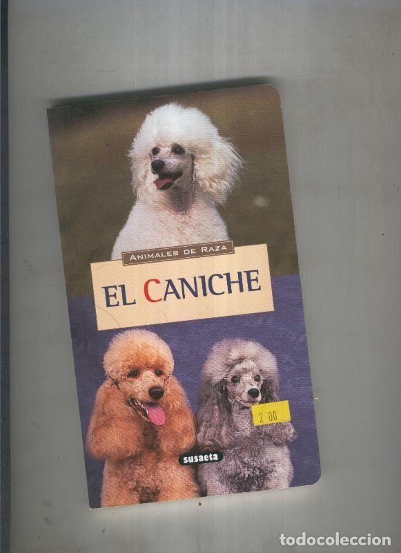 Libros: El caniche - Larie Luce Hubert y Jean Louis Klein - Foto 1