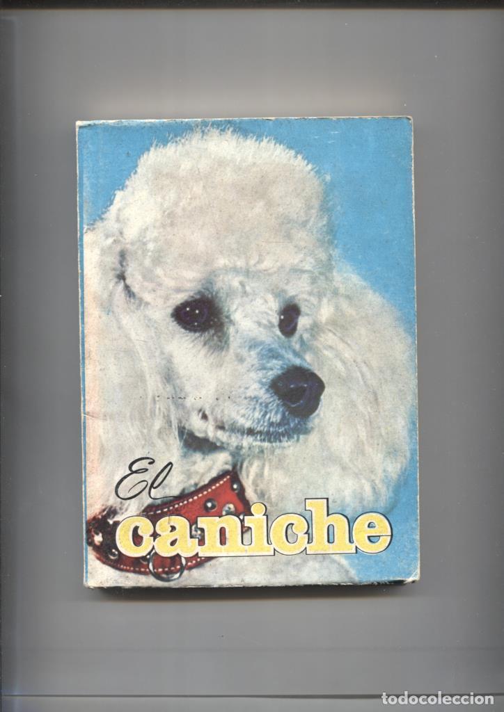 books: El caniche - Hector Togagni