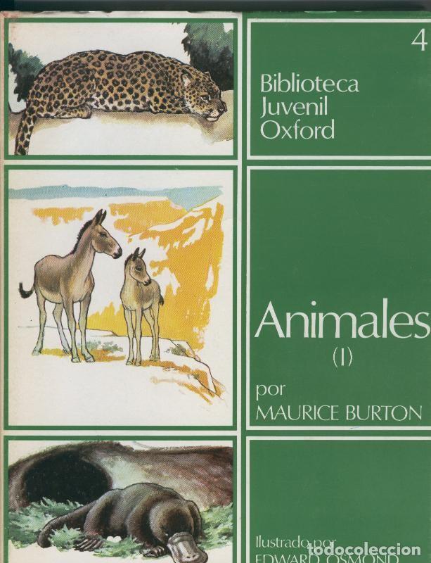 Libri di seconda mano: Biblioteca Juvenil Oxford volumen 4: Animales vol 1 - Maurice Burton