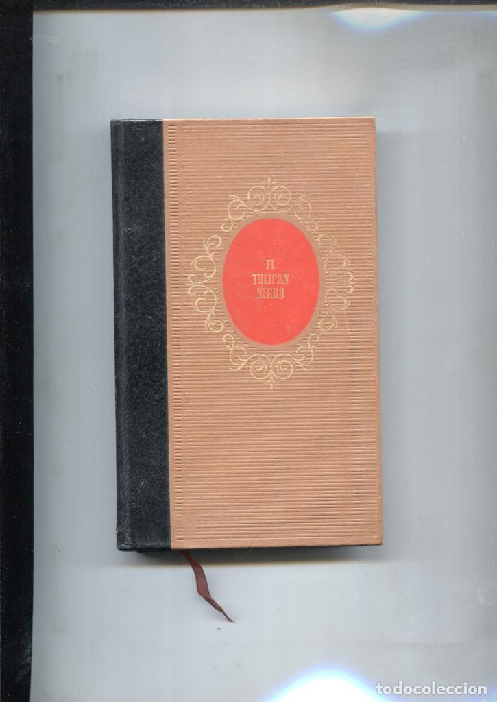 Libros: El Tulipan Negro - Alejandro Dumas
