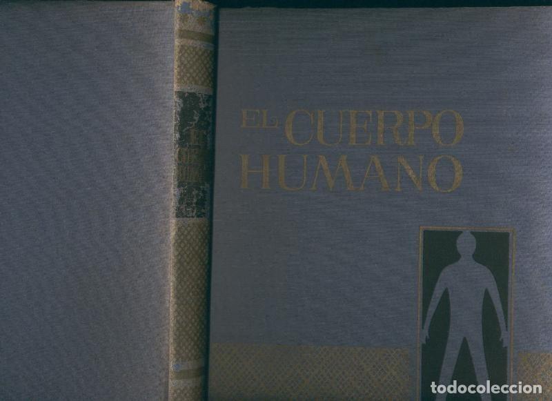 Libros: El Cuerpo humano - Varios - Foto 1