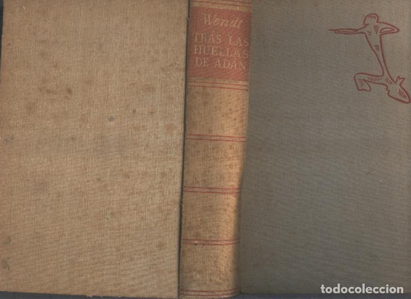 Libros: Tras las huellas de Adan - Herbert Wendt - Foto 1