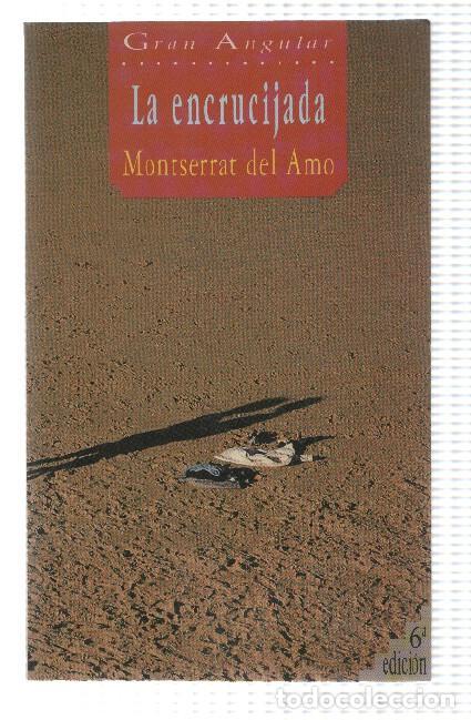 Libros: Gran Angular numero 67: La encrucijada - Montserrat del Amo - Foto 1