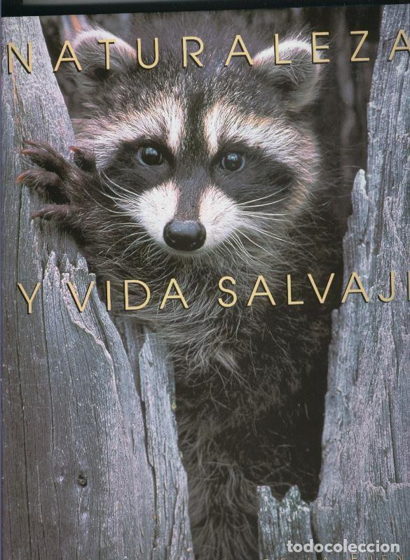 Livros em segunda m&atilde;o: Naturaleza y vida salvaje volumen 4 - Felix Rodriguez de la Fuente