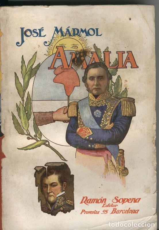 Libros: Amalia - Jose Marmol - Foto 1