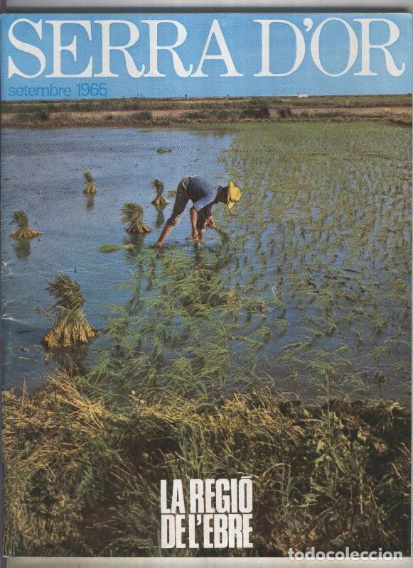 Libros: Serra D,Or numero 021 - varios - Foto 1