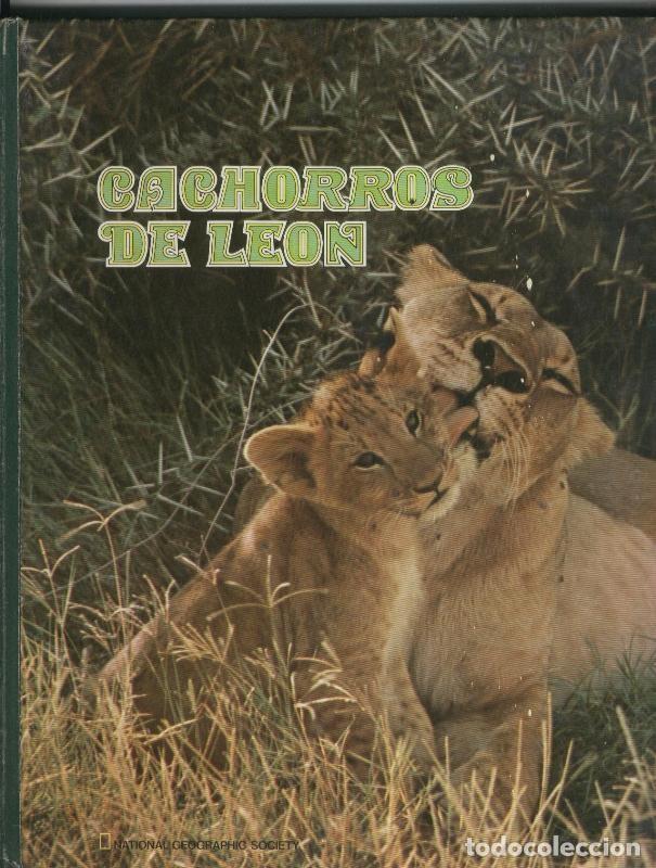 Libros: Cachorros de leon - Varios - Foto 1