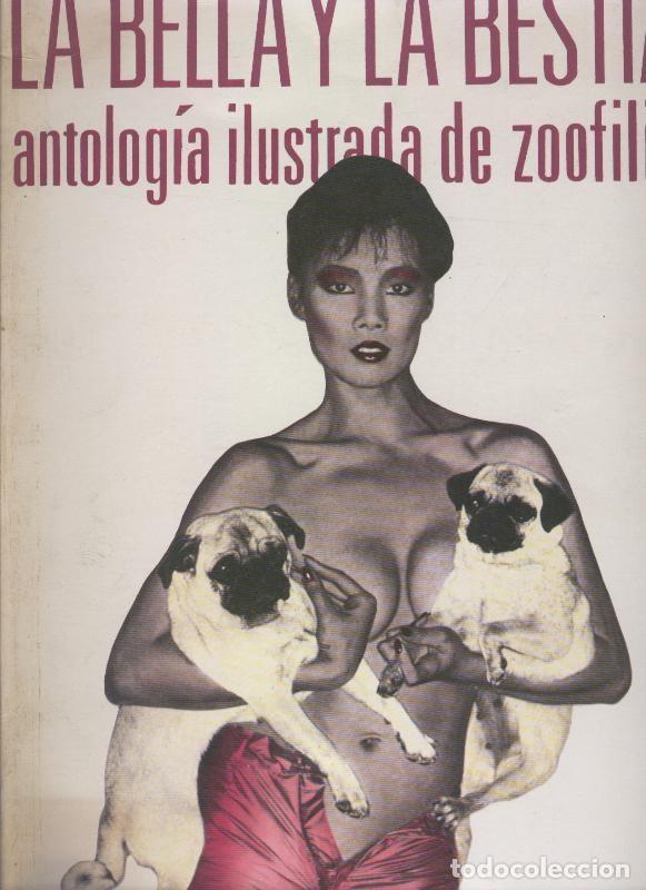 Libros: La Bella y la Bestia - Varios - Foto 1