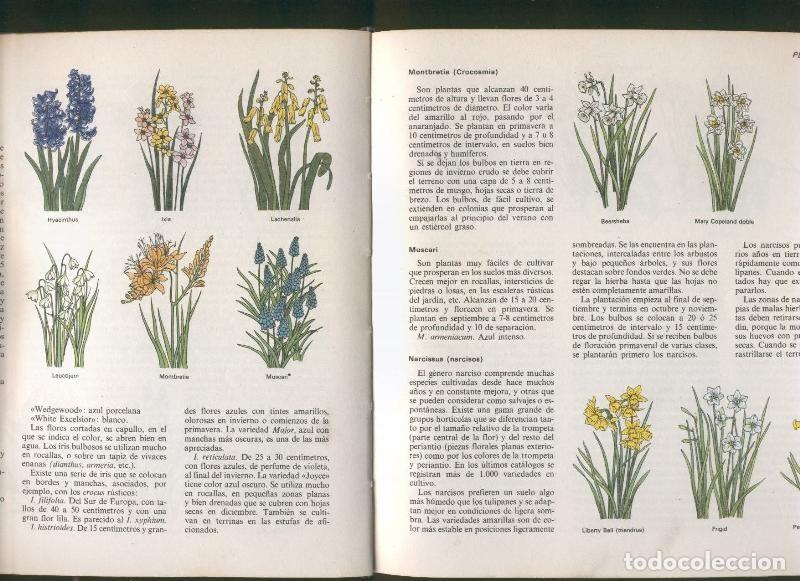 Libros: El libro del jardin y de la terraza - Varios - Foto 1