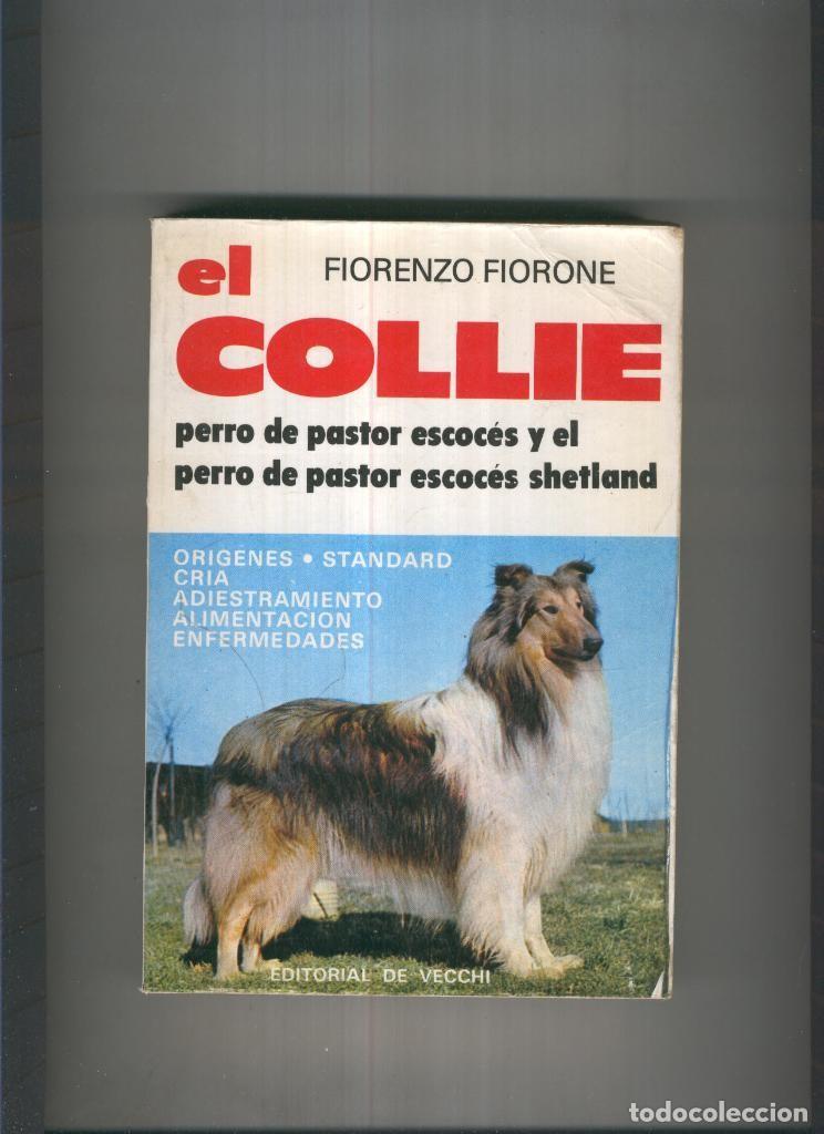 Libros: El Collie - Fiorenzo Fiorone - Foto 1