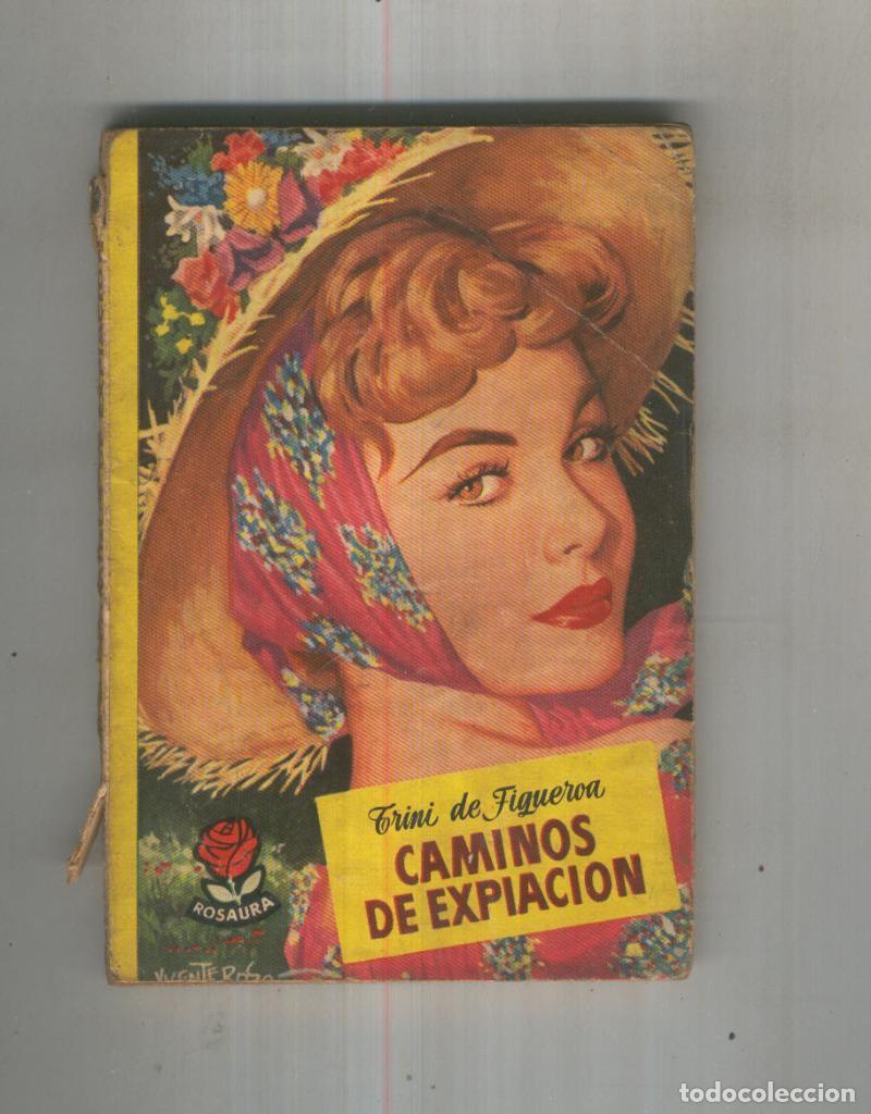 Libros: Caminos de expiacion - Trini de Figueroa - Foto 1