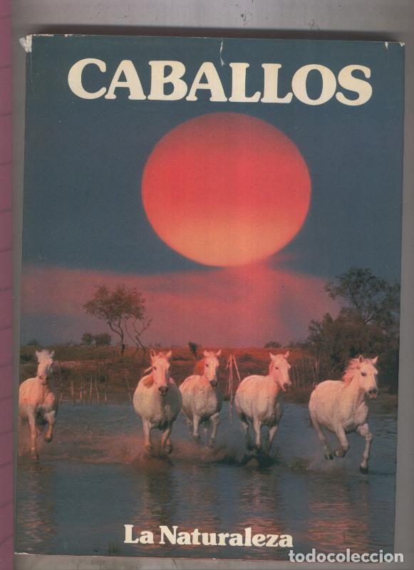 Libros: Caballos - Miguel Angel Clavero - Foto 1