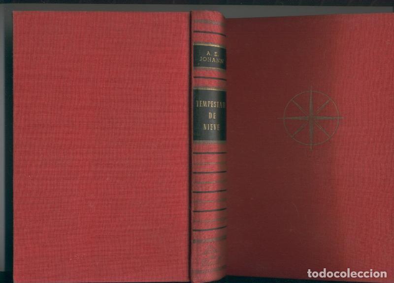 Libros: Coleccion Gigante: Tempestad de nieve - A.E. Johann - Foto 1