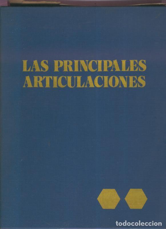 B&uuml;cher: Las principales articulaciones - Varios