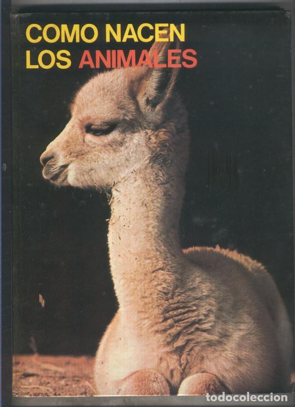 Livros em segunda m&atilde;o: Los grandes enigmas del mundo animal: Como nacen los animales - Varios