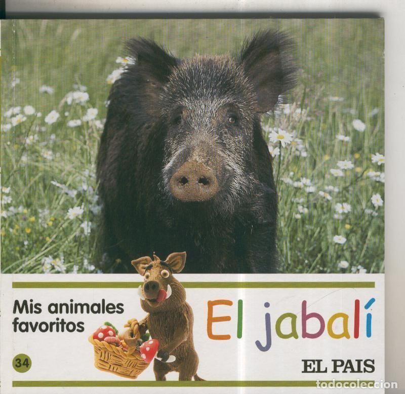 Libros: Mis animales favoritos numero 34: El jabali - Varios